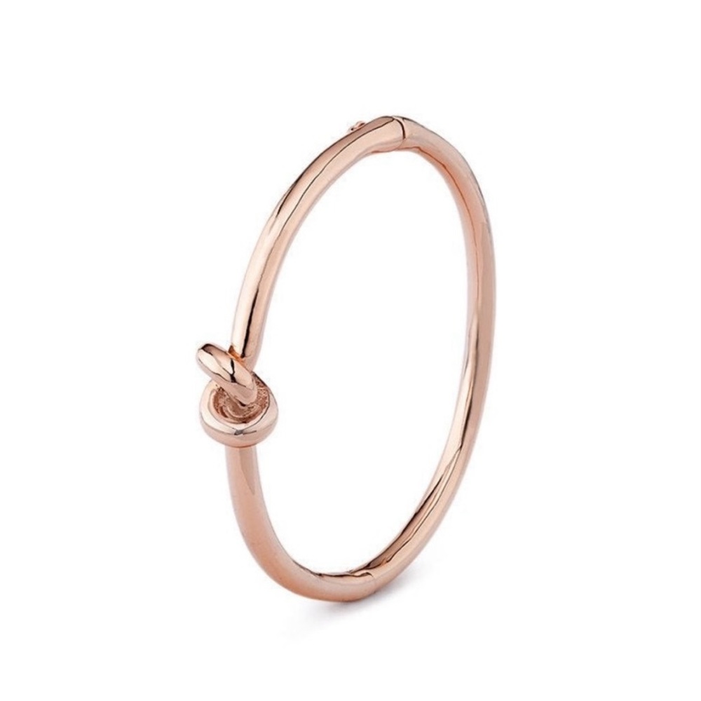 NWT Wanderlust & Co. 18-karat gold gilt bangle bracelet in Rose Gold